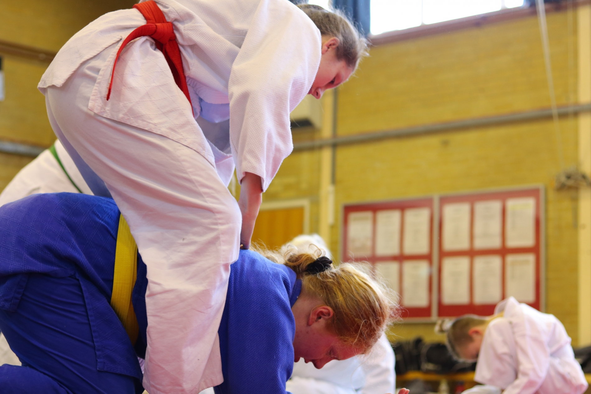 Ne-Waza Session - May 2018