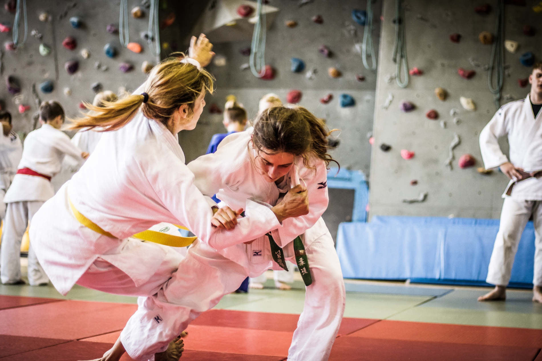 Ne-Waza Session - Sept 2018