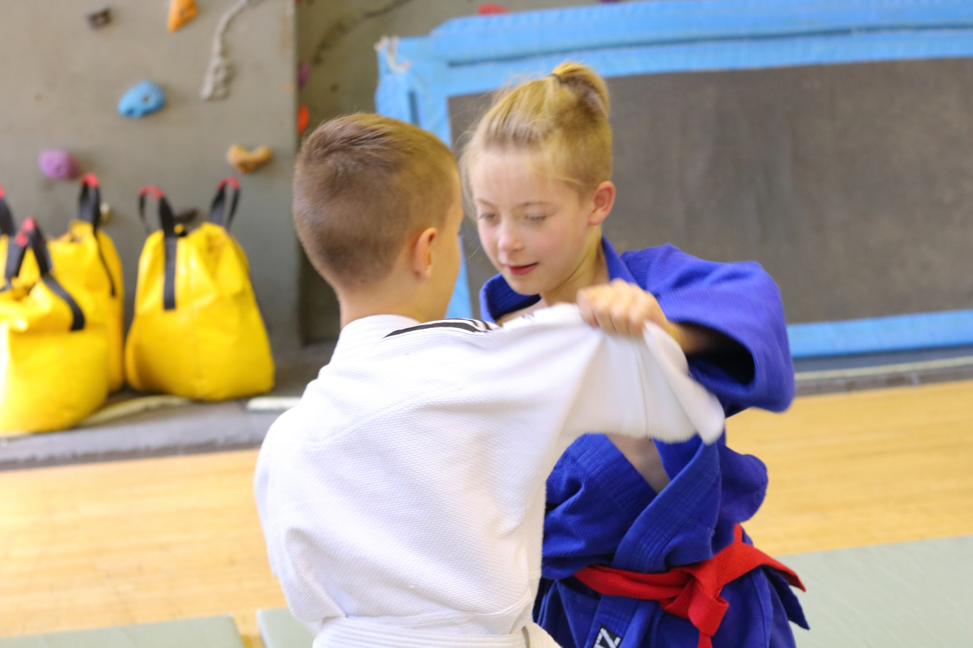 Ne-Waza Session - Sept 2018