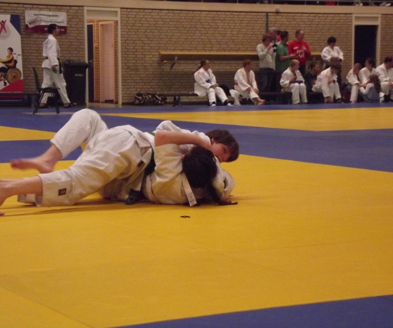 Baarlo International 2012