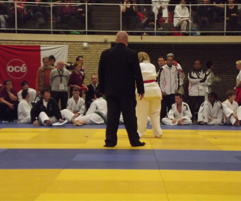 Baarlo International 2012