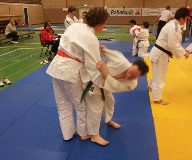 Baarlo International 2012