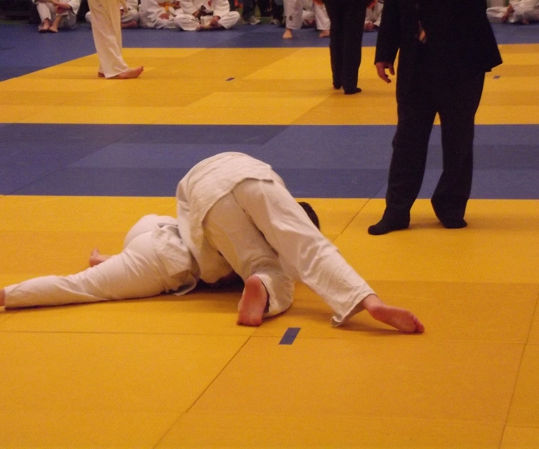 Baarlo International 2012