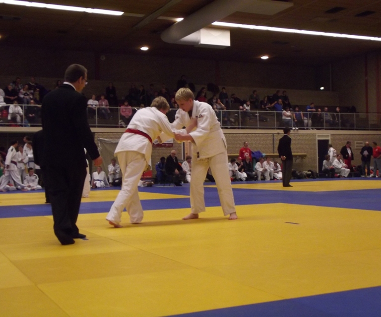 Baarlo International 2012