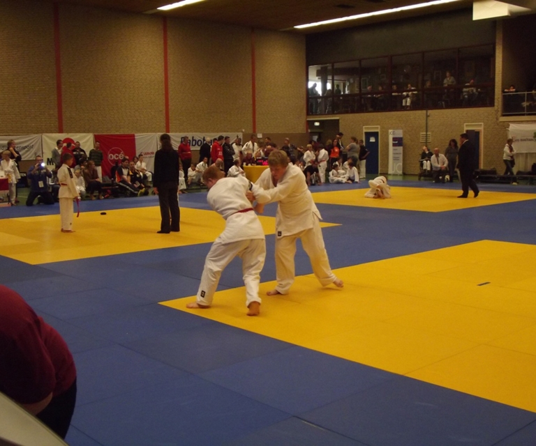 Baarlo International 2012