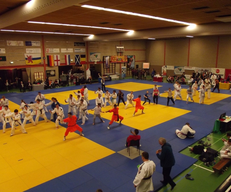 Baarlo International 2012