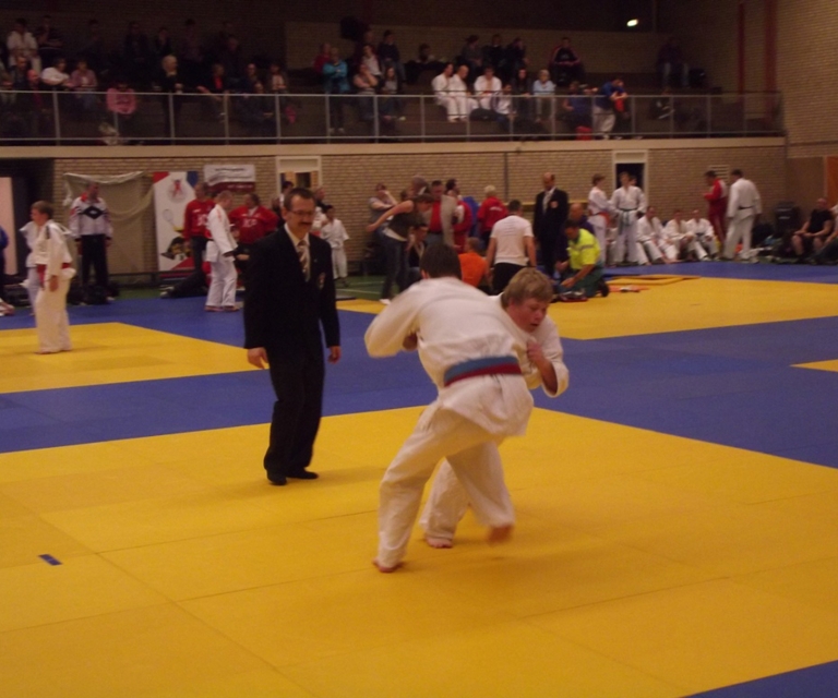 Baarlo International 2012