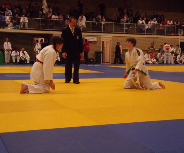 Baarlo International 2012