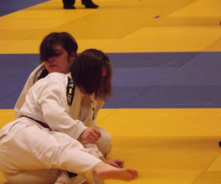 Baarlo International 2012