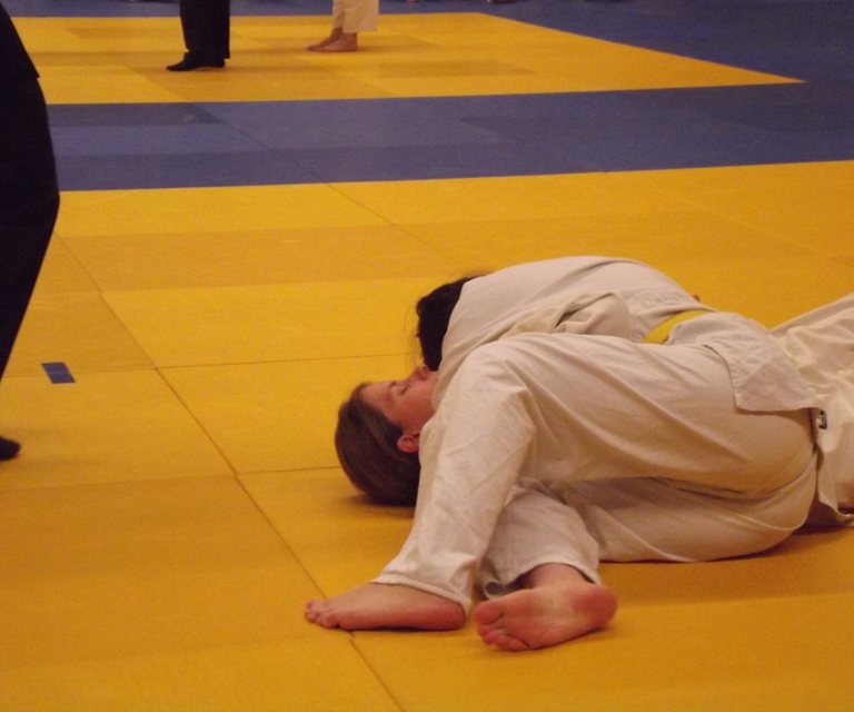 Baarlo International 2012