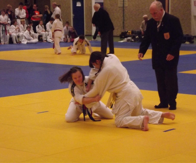 Baarlo International 2012