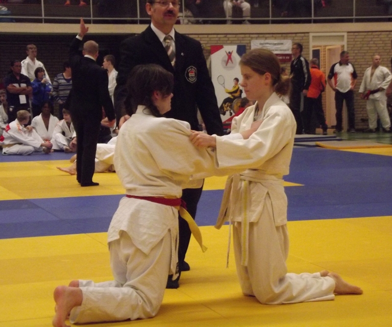 Baarlo International 2012