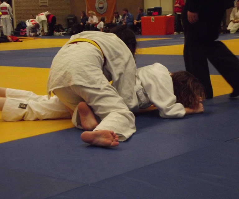 Baarlo International 2012