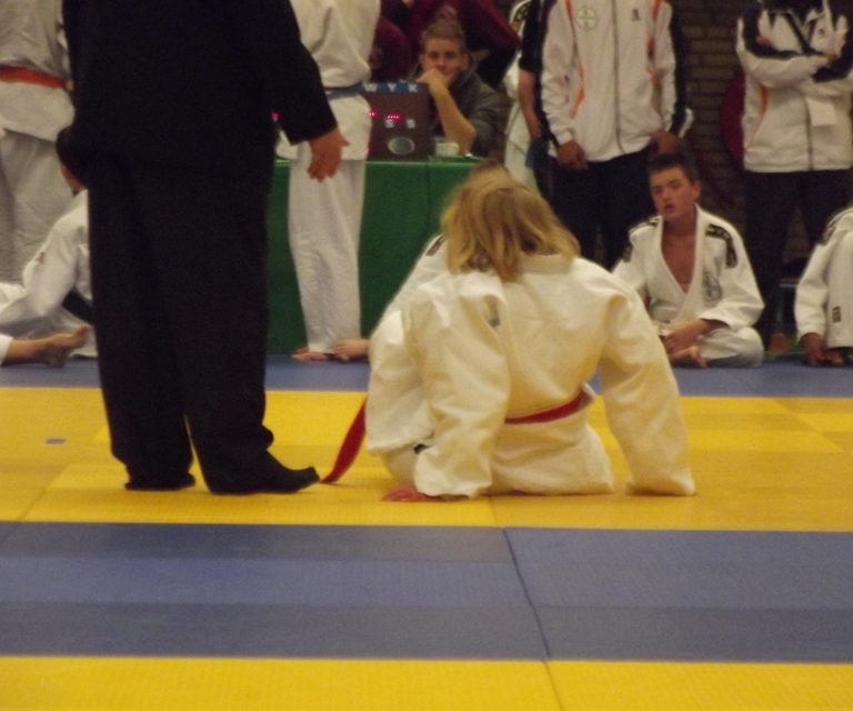 Baarlo International 2012