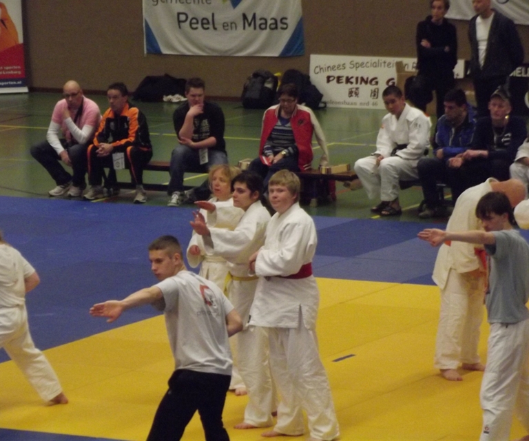 Baarlo International 2012