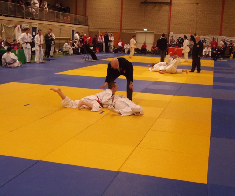 Baarlo International 2012