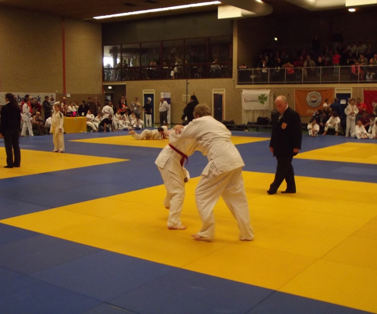 Baarlo International 2012