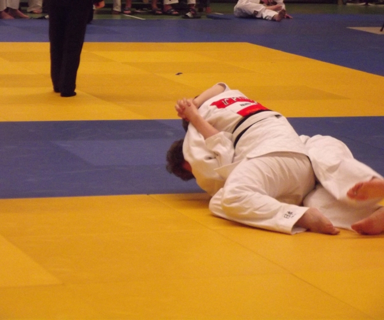 Baarlo International 2012