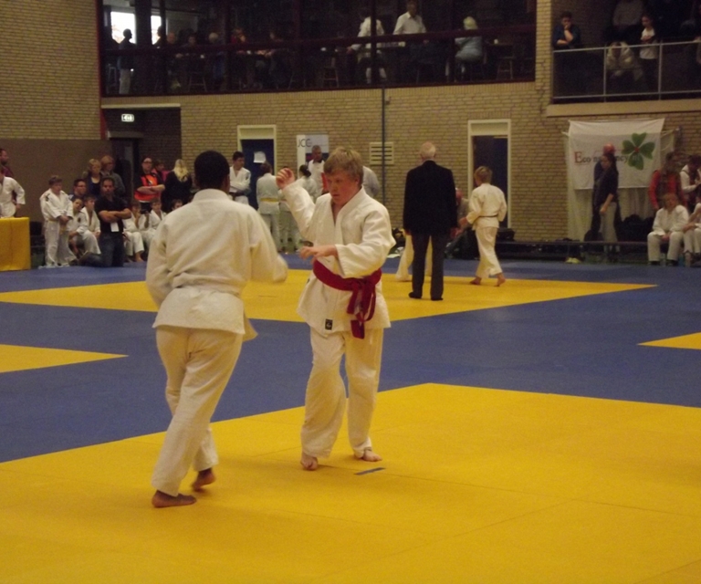 Baarlo International 2012