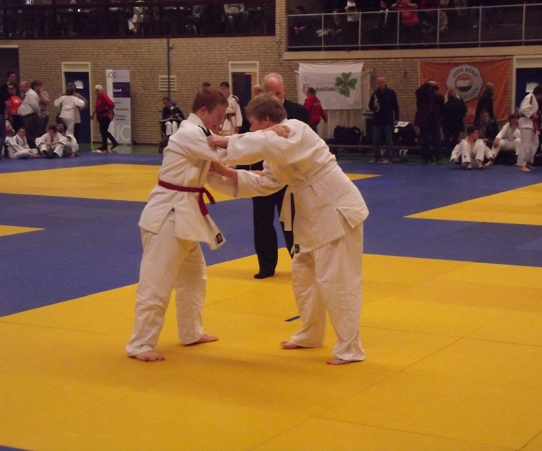 Baarlo International 2012