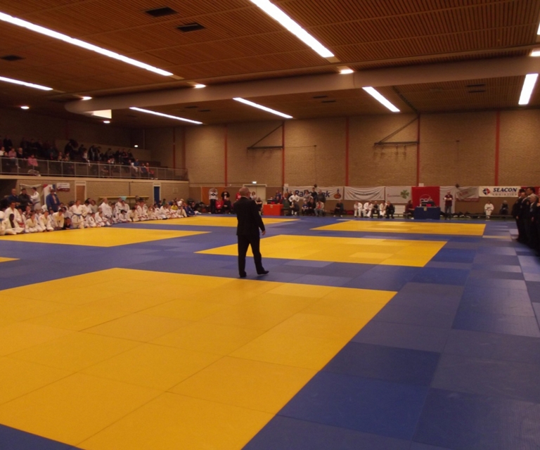 Baarlo International 2012