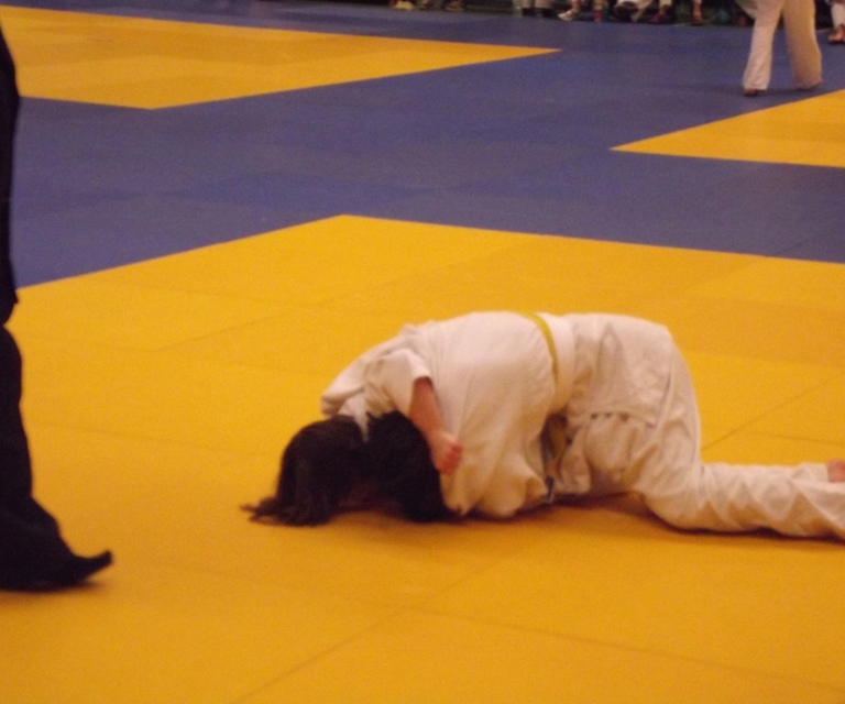 Baarlo International 2012