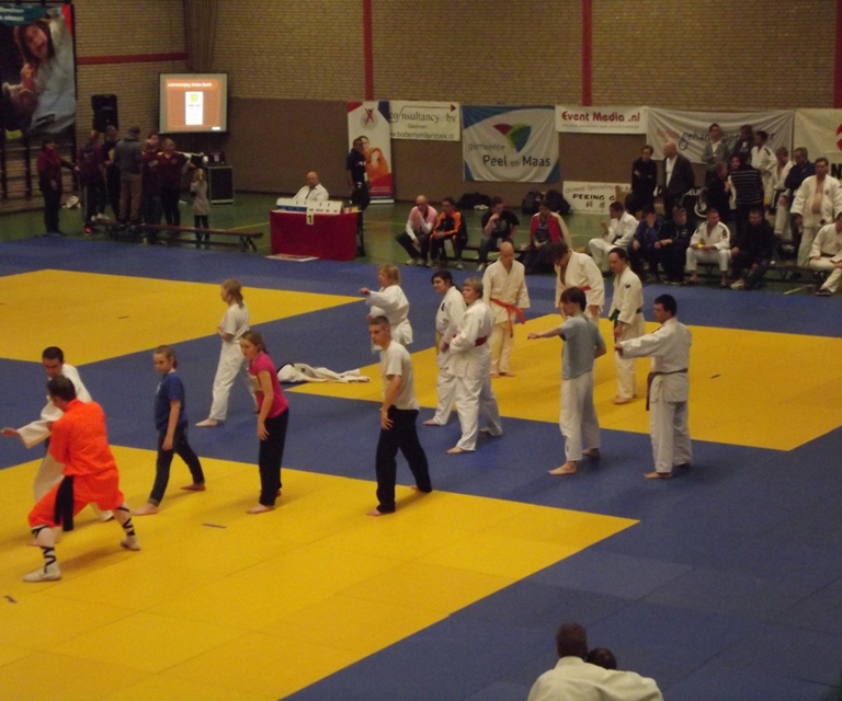 Baarlo International 2012