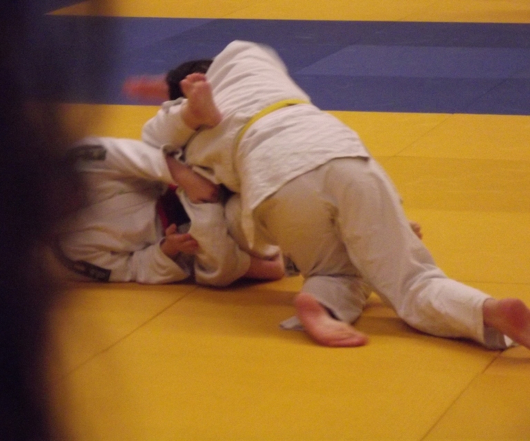 Baarlo International 2012