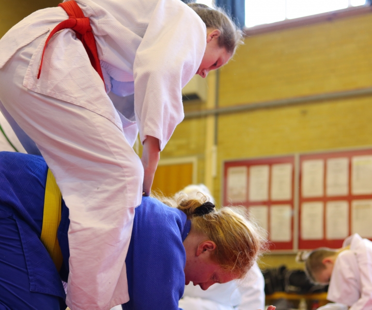 Ne-Waza Session - May 2018