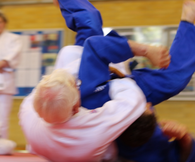 Ne-Waza Session - May 2018