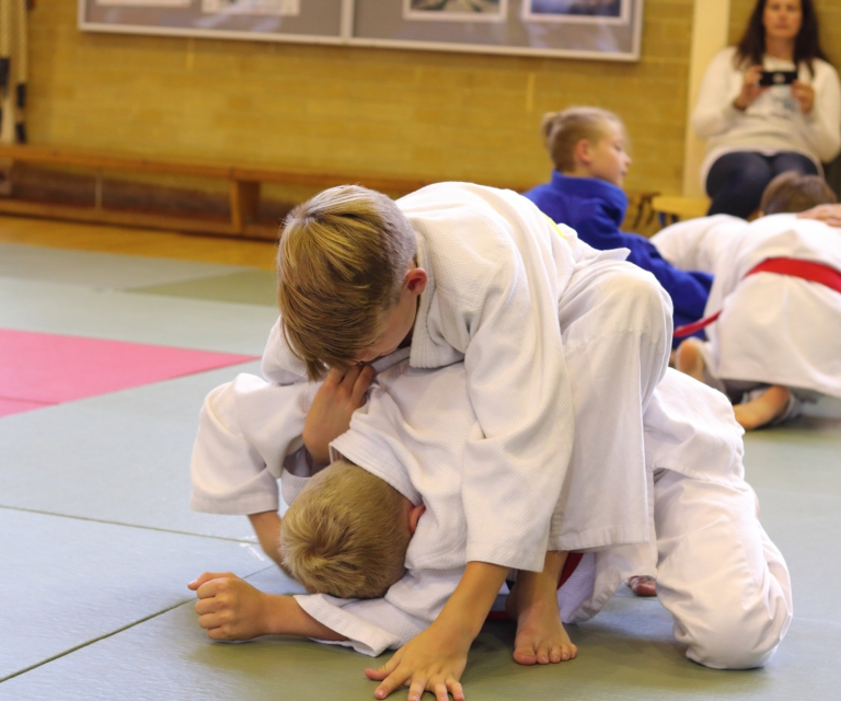 Ne-Waza Session - Sept 2018