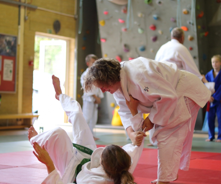 Ne-Waza Session - Sept 2018