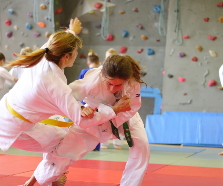 Ne-Waza Session - Sept 2018